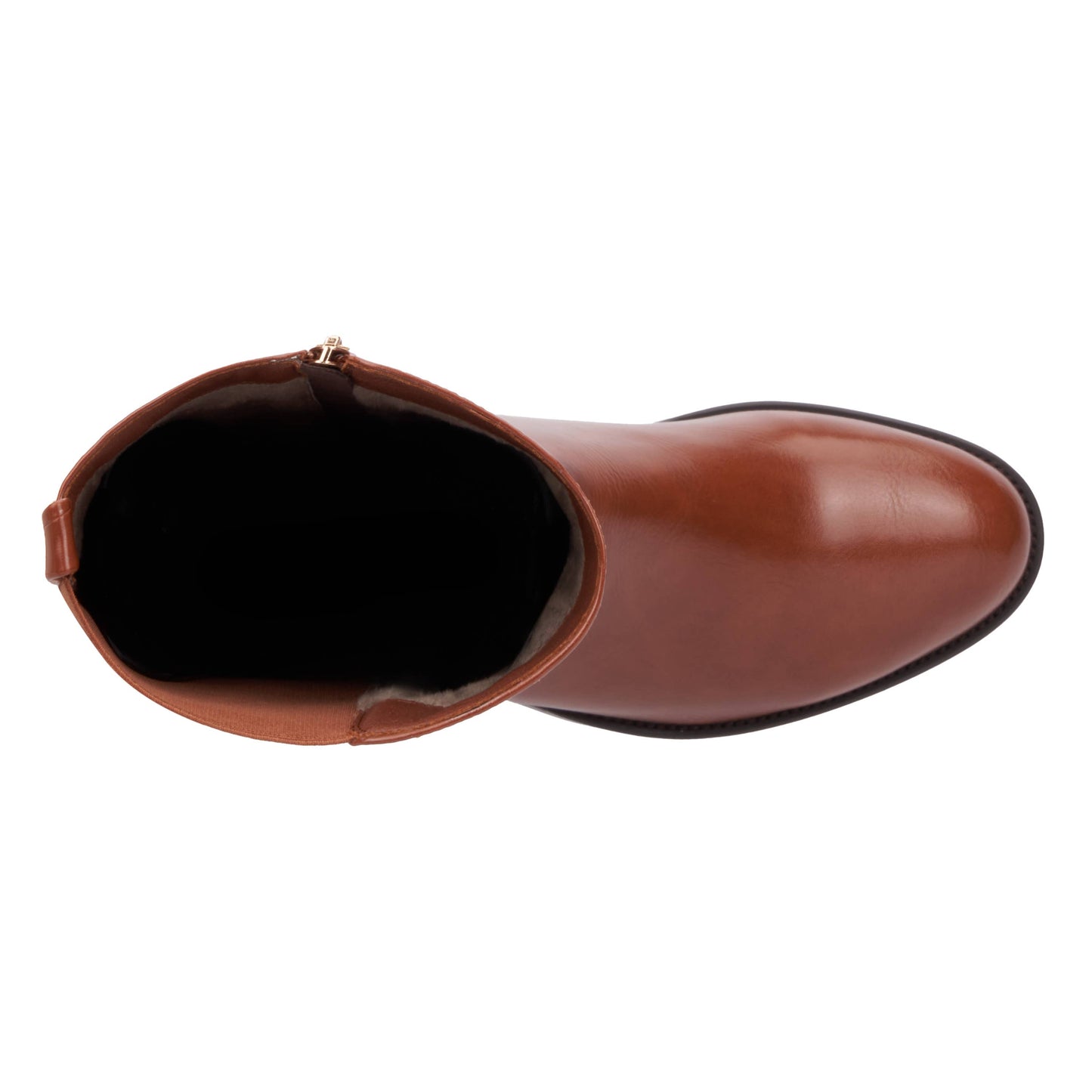 S3 Holding - Torgeis Women's Danelle Tall Boots: COFFEE BEAN / 8