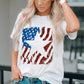 USA Flag Graphic Round Neck Tee