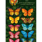 FreshCut Paper LLC - Butterflies & Buttercups (8 Pop-up Greeting Cards)