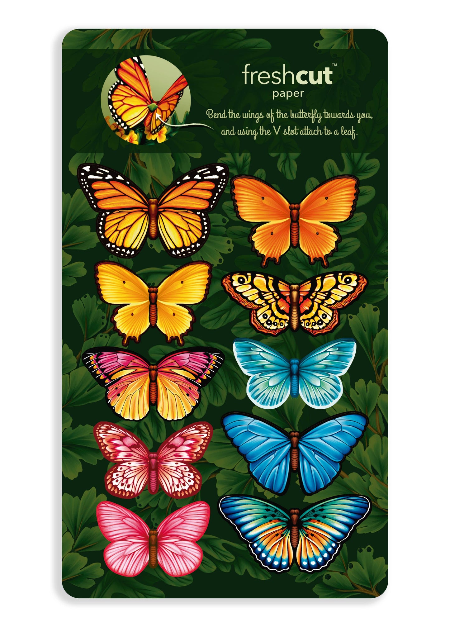 FreshCut Paper LLC - Butterflies & Buttercups (8 Pop-up Greeting Cards)