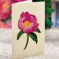 FreshCut Paper LLC - Peony Paradise (8 Pop-up Greeting Cards)