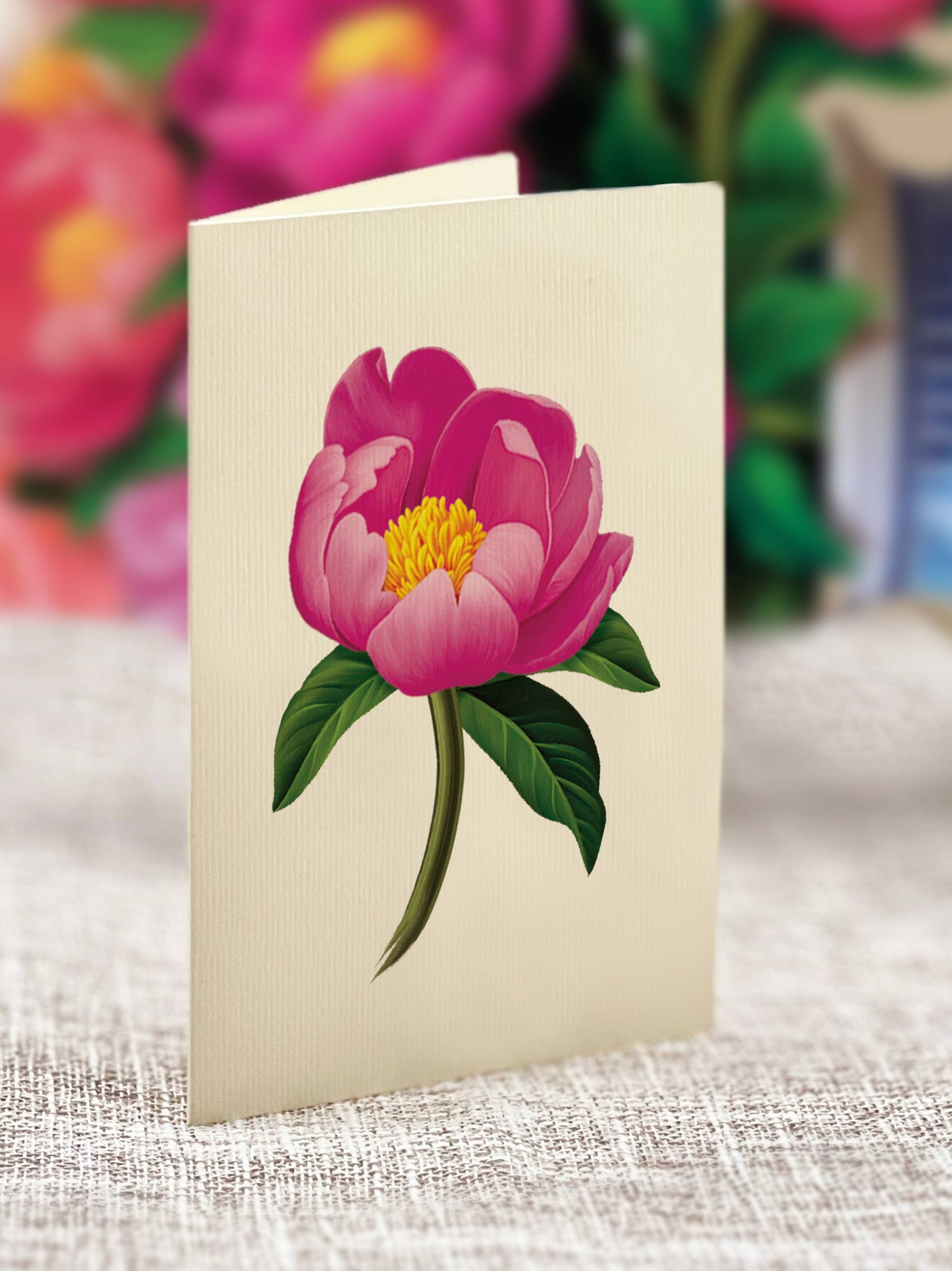 FreshCut Paper LLC - Peony Paradise (8 Pop-up Greeting Cards)