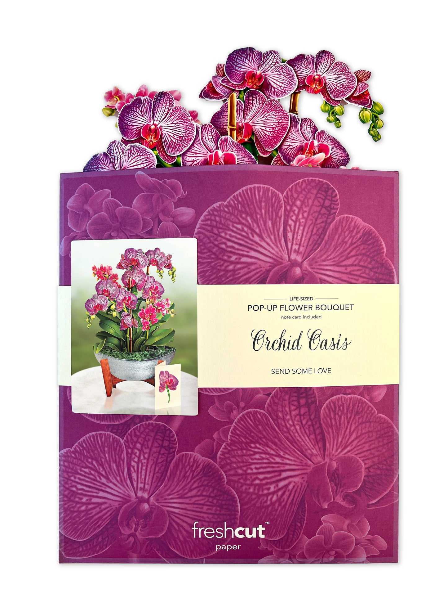 FreshCut Paper LLC - Orchid Oasis (8 Pop-up Greeting Cards)