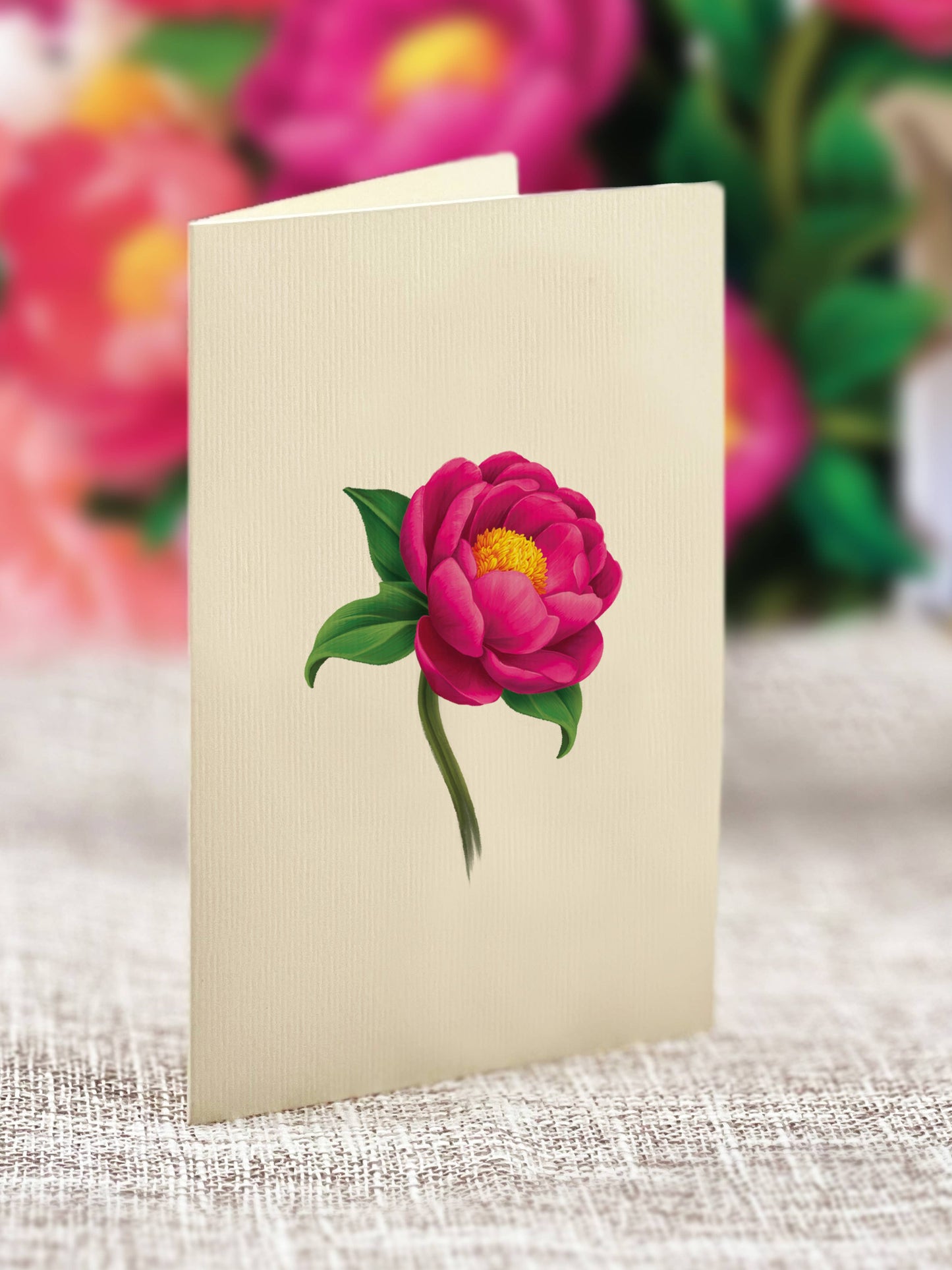 FreshCut Paper LLC - Mini Peony Paradise (10 Pop-up Greeting Cards)