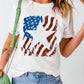 USA Flag Graphic Round Neck Tee